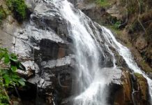 Salto de El Rosario resalta por su belleza natural