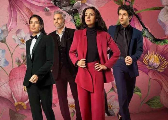 case cine, la casa de las flores, pelicula,