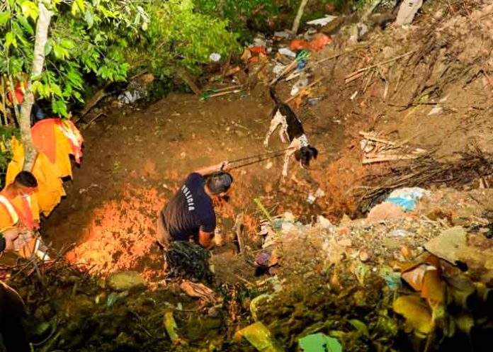 caso el salvador, fin la paz, caso, flor garcia, autoridades, busqueda, cuerpo,