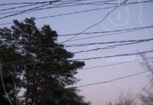 Hombre muere electrocutado en la comarca Los Castros