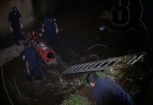 Piruquita fue rescatado de un cauce en barrio El Recreo