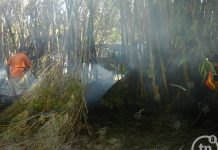 Diriamba: Incendio en cerca de madera casi quema casas