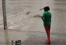 Viral: mujer se defiende de cocodrilo con una chancla