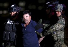 Detienen a presunto lavador de dinero de «El Chapo»