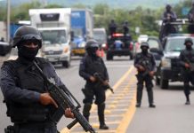 Liberan a hijo de El Chapo en Puerto Vallarta