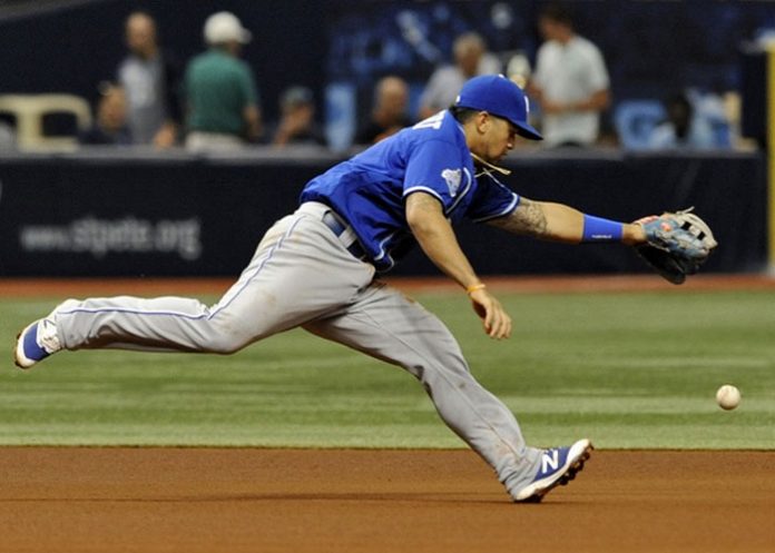 cheslorcuthbert