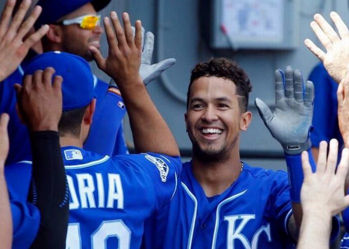 cheslorgrandia