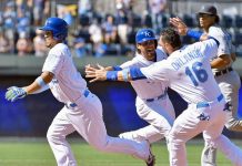 ¡ Cheslor el héroe !