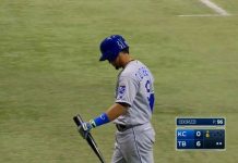 Cheslor neutralizado