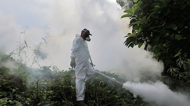 chikungunya-dengue-fumigar