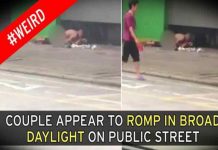Agarran a dos degenerados teniendo sexo en media calle (Video)