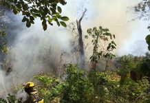 Fuego se extiende a gran proporción en el volcán San Cristóbal