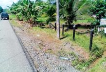 Costa Rica: Choca con poste y muere frente a su amiga