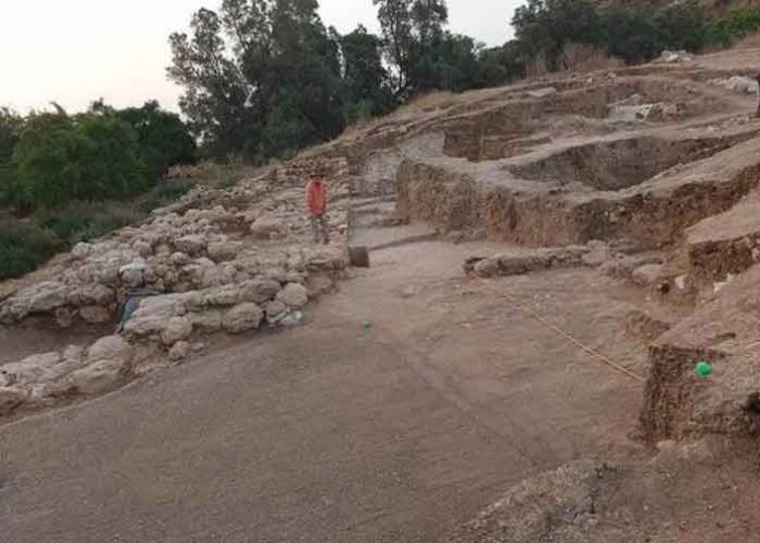 ciencia-1 gat, flecha, david, goliat,