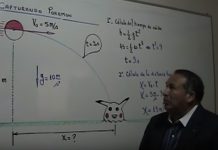 Profesor imparte clases de Física con pokémones