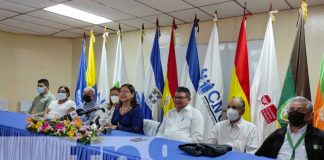 nicaragua, informe, cnu, universidades, proyectos,