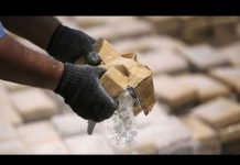 Dominicana: Detienen a 7 hondureños con tonelada de cocaína