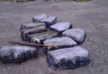 El Salvador: Incautan 351 kilos de cocaína