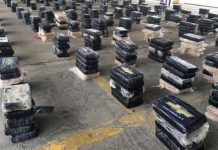 Incautan más 700 kilos de cocaína en Panamá Viejo