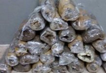 Panamá: Operativo deja detenidos y la incautación de coca