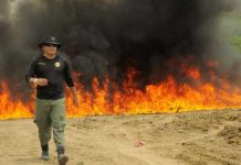 Autoridades panameñas incineran toneladas de drogas