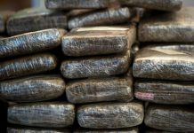 Colombia: decomisan una tonelada de cocaína