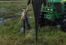 Cocodrilo gigante causó asombro y polémica en Facebook