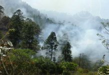 Cerro La Coquimba de Dipilto arde en llamas