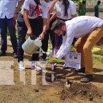 nicaragua, arboles, siembra, venezuela, colegio,