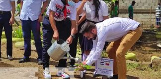 nicaragua, arboles, siembra, venezuela, colegio,