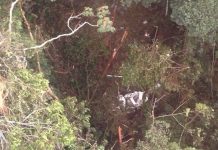 Paro armado de banda criminal Clan Úsuga deja 6 muertos en Colombia