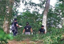 El Salvador: Registran 265 homicidios en el mes de junio