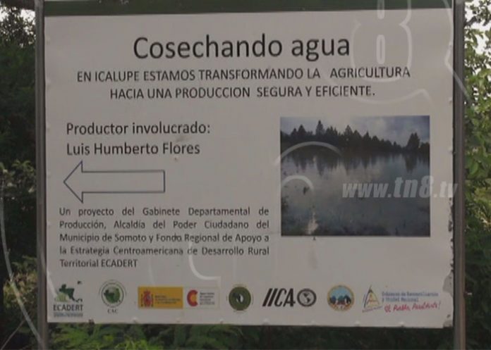 cosag1
