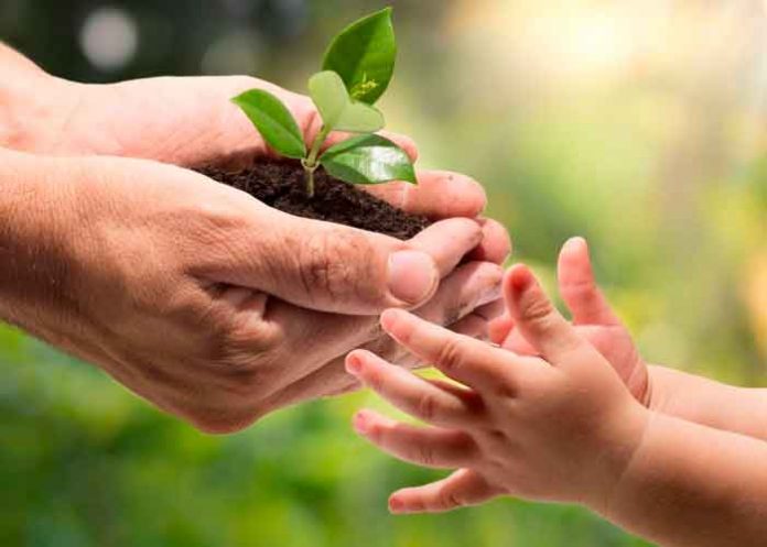 costa rica, celebracion, dia del ambiente, dialogo, restauraucion ecologica,