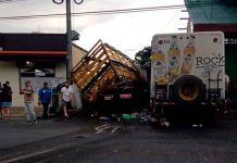 Cinco muertos tras choque entre dos camiones en Costa Rica (VIDEO) costa rica, accidente vial, cinco muertos, choque, camiones,