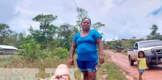 Nicaragua, caribe norte, seguridad alimentaria, bonos porcinos,