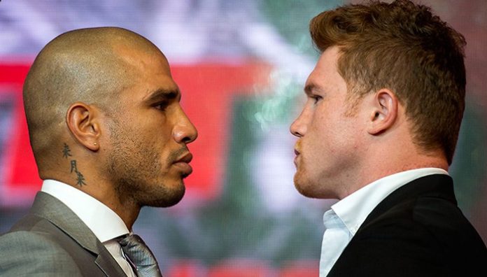 cotto