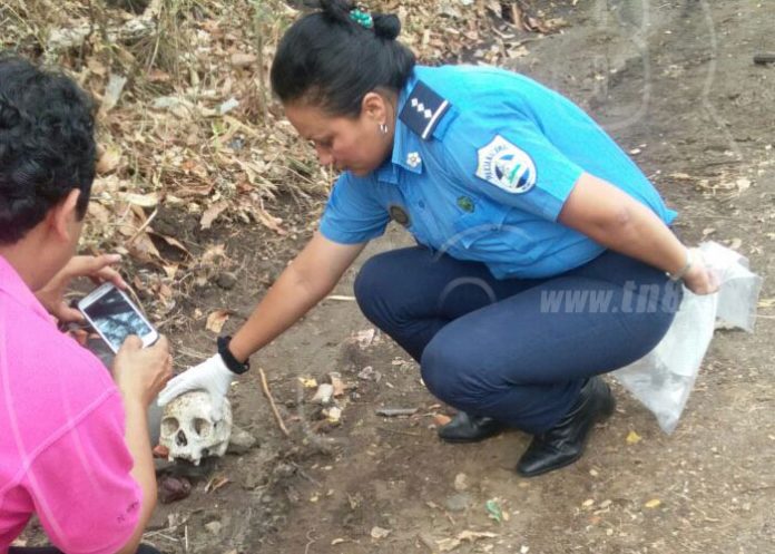 cran1