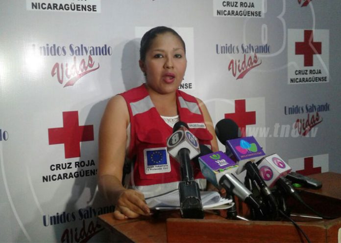 cruzrojs