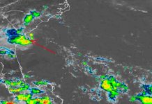 La tormenta tropical Danny, tocará tierra en Carolina del Sur estados unidos, carolina del sur, tormenta tropical danny, meteorologia,