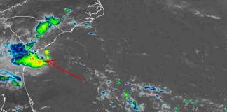 estados unidos, carolina del sur, tormenta tropical danny, meteorologia,