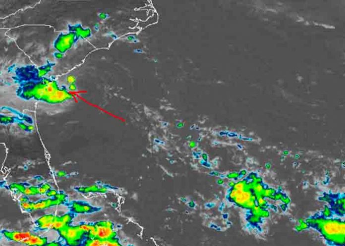 estados unidos, carolina del sur, tormenta tropical danny, meteorologia,