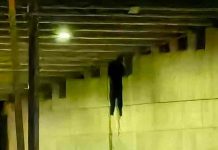 mexico, policias, crimen organizado,