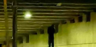 mexico, policias, crimen organizado,