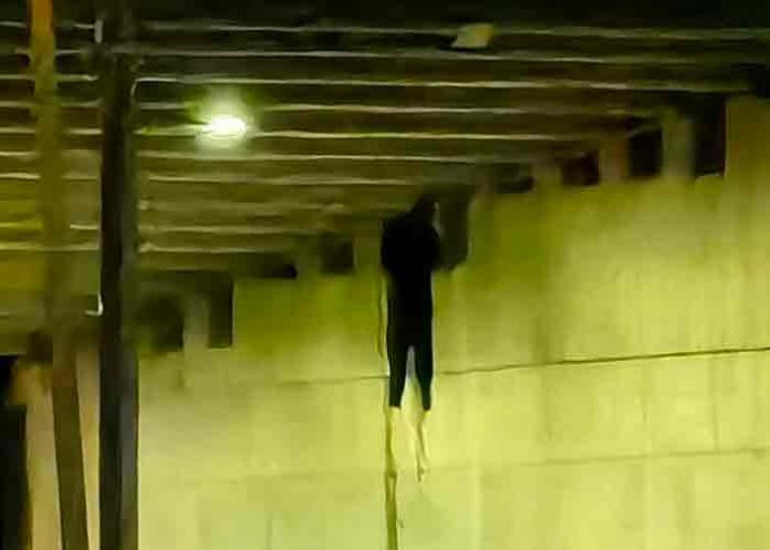 mexico, policias, crimen organizado,