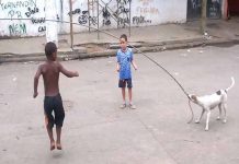 Video: Perro jugando a saltar la cuerda