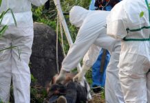 Honduras: Hallan a hombre ejecutado al fondo de una alcantarilla