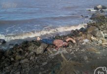 Encuentran cuerpo a orilla del Lago de Managua