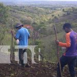 Campesinos de la zona sur de Nandaime aprovechan lluvias para sembrar nicaragua, cultivo, nandaime, siembra, lluvias, campesinos,