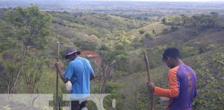 nicaragua, cultivo, nandaime, siembra, lluvias, campesinos,